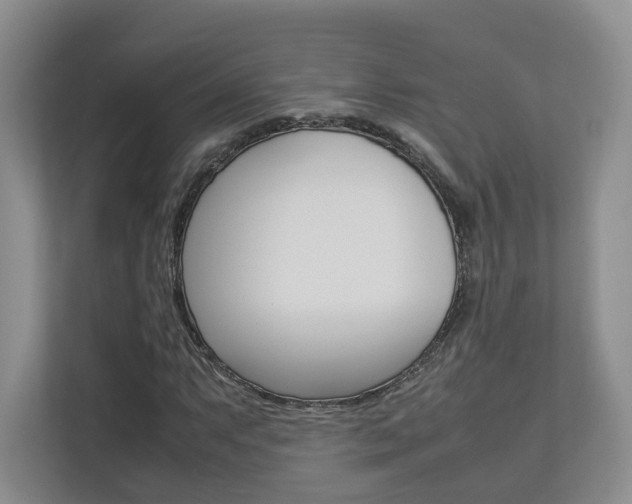X0000112831063200908210934