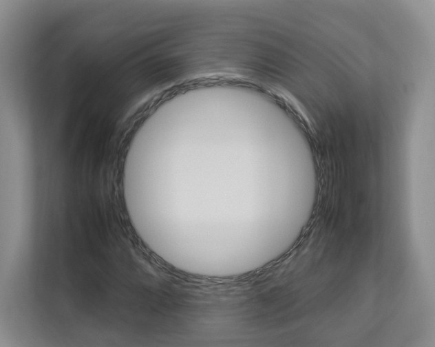 X0000112831064200908210934