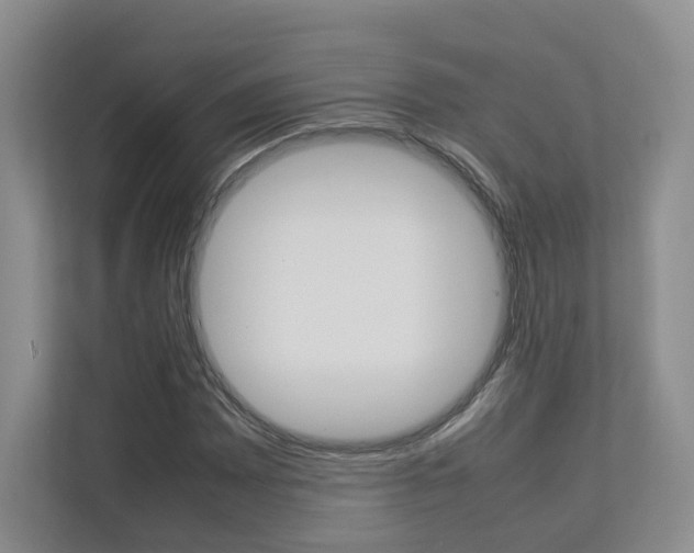 X0000112831065200908210934