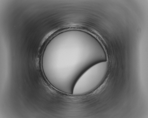 X0000112831066200908210934