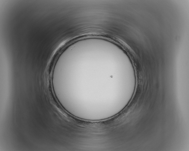 X0000112831067200908210934