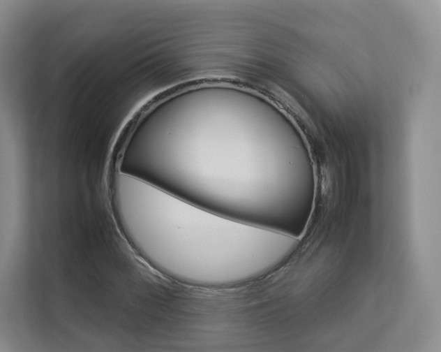 X0000112831068200908210934