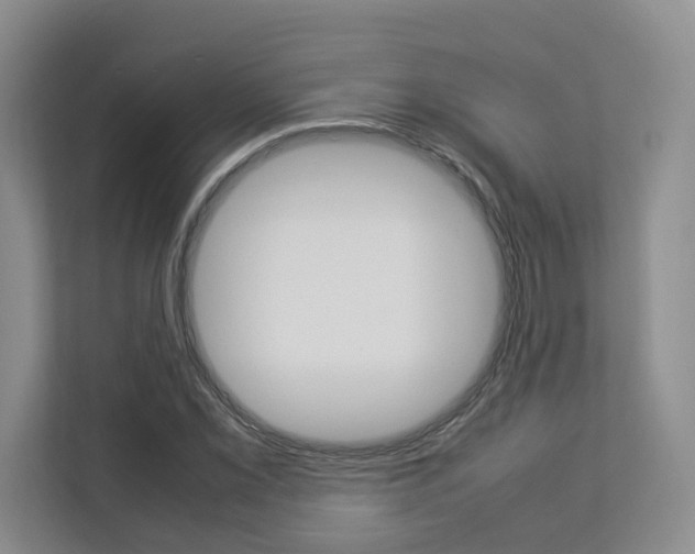 X0000112831069200908210934