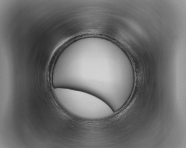 X0000112831070200908210934
