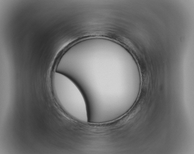 X0000112831071200908210934
