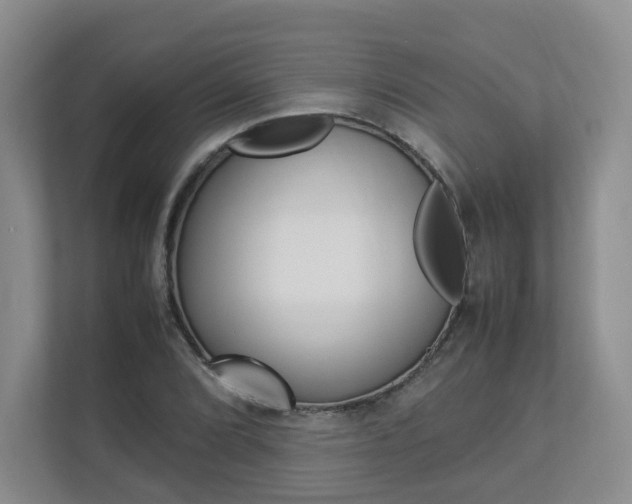 X0000112831072200908210934