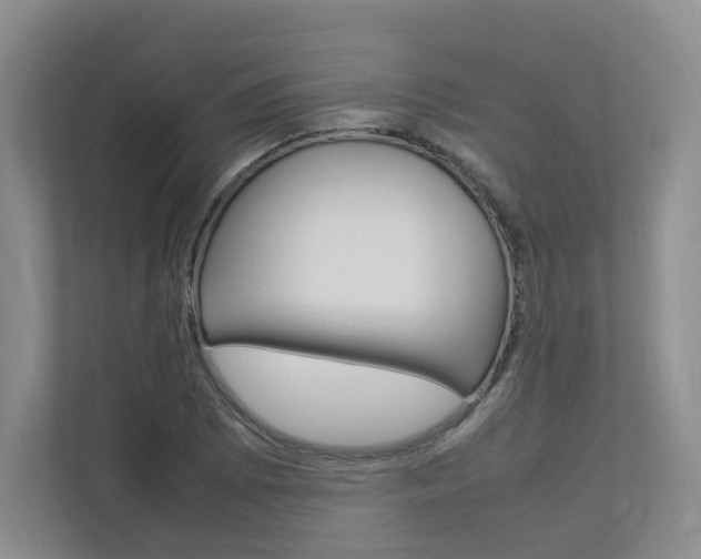 X0000112831073200908210934