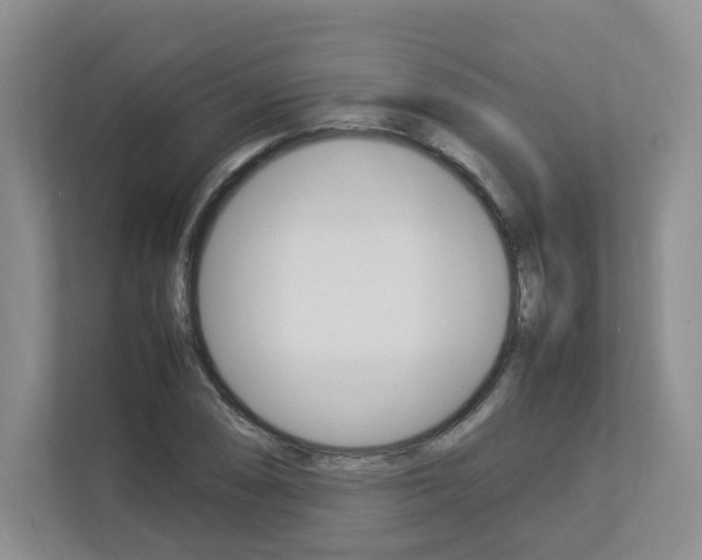 X0000112831074200908210934