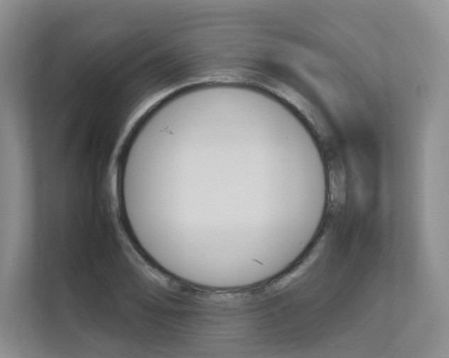 X0000112831078200908210934
