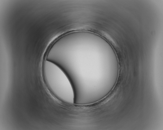 X0000112831079200908210934