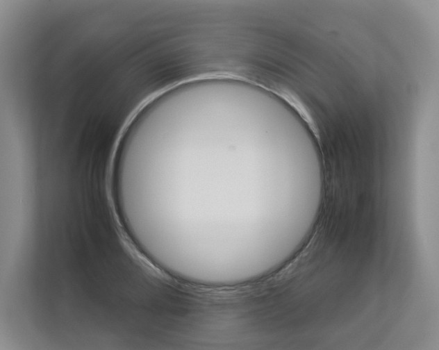 X0000112831080200908210934