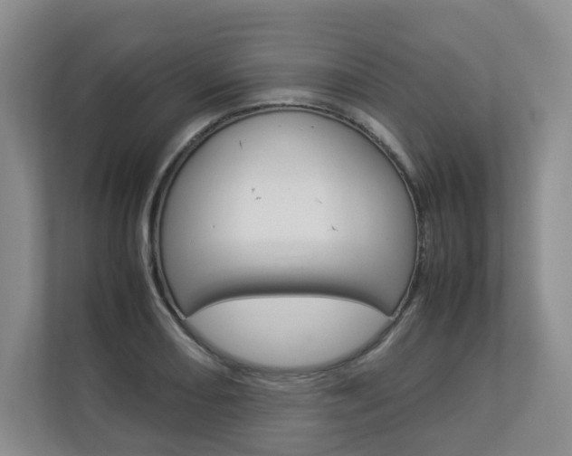 X0000112831082200908210934