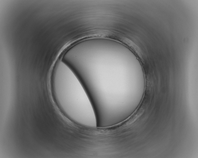 X0000112831083200908210934