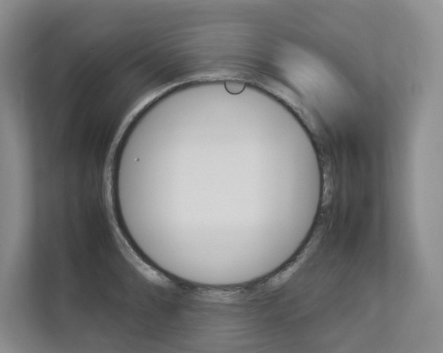 X0000112831086200908210934