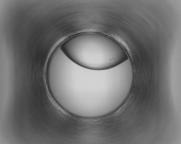 X0000112831088200908210934