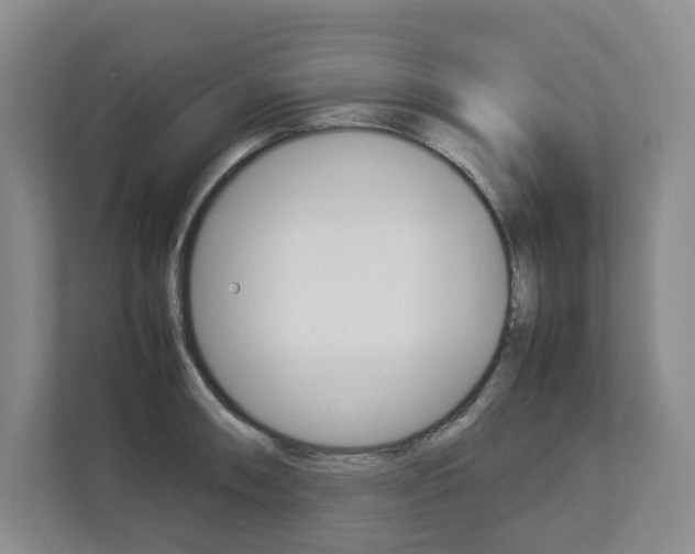 X0000112831090200908210934