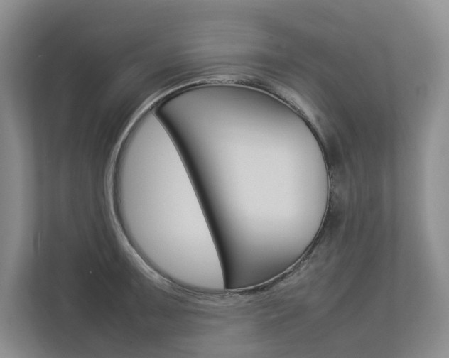 X0000112831091200908210934