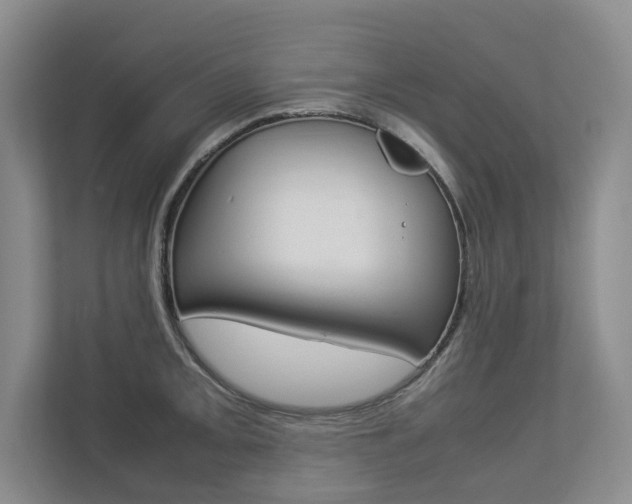 X0000112831093200908210934