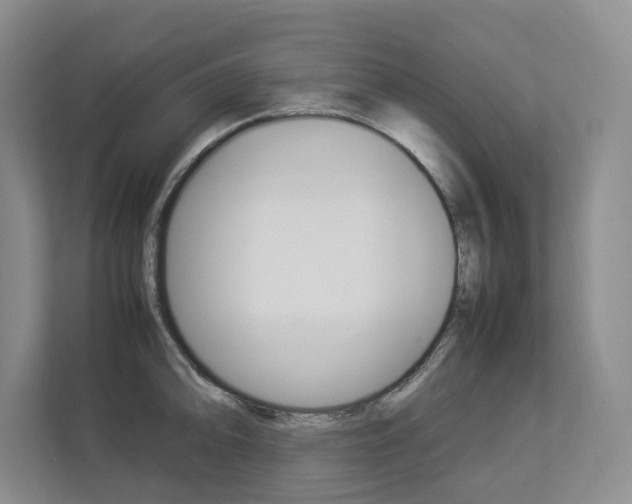 X0000112831094200908210934