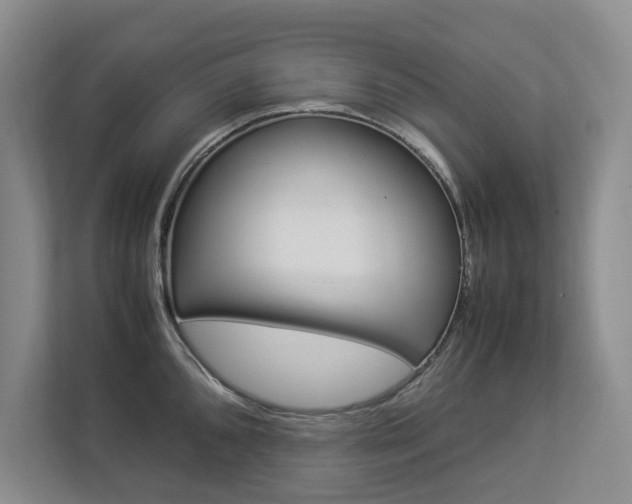 X0000112831096200908210934