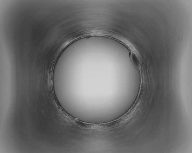 X0000112831097200908210934