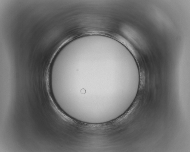 X0000112831098200908210934