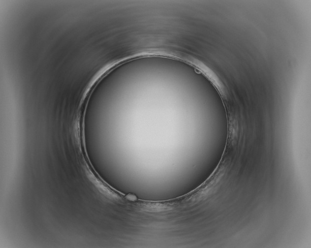 X0000112831100200908210934