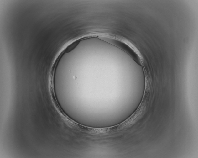 X0000112831101200908210934