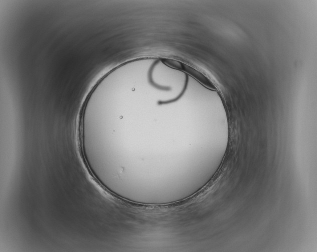 X0000112831103200908210934