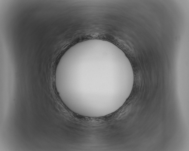 X0000112831105200908210933