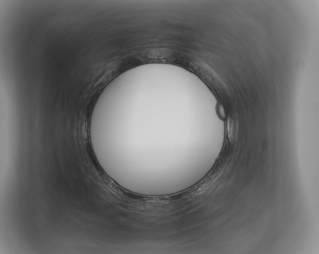 X0000112831107200908210933
