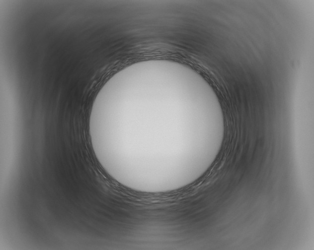 X0000112831108200908210933