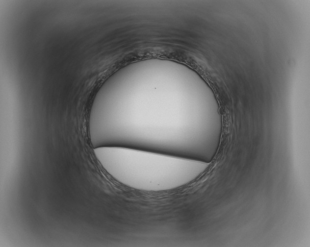 X0000112831109200908210933