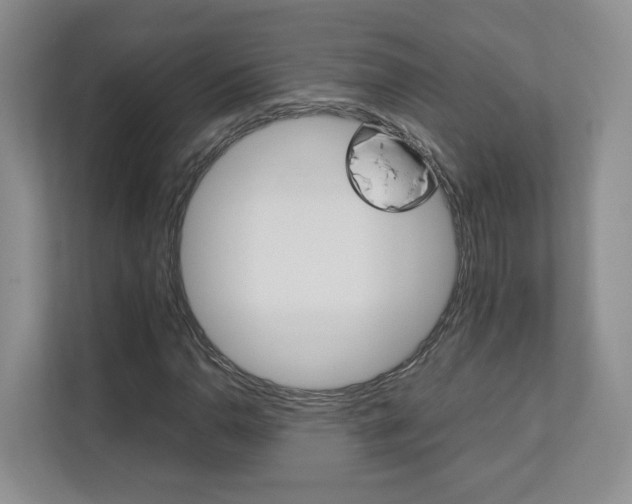 X0000112831110200908210933