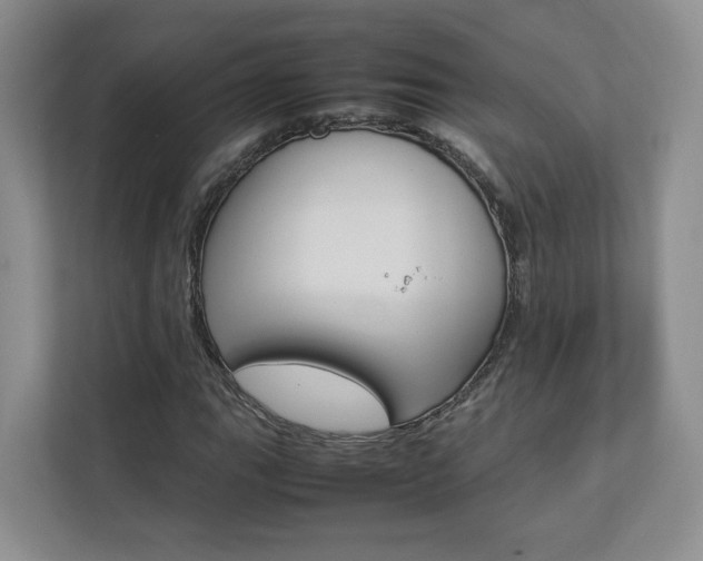 X0000112831111200908210933