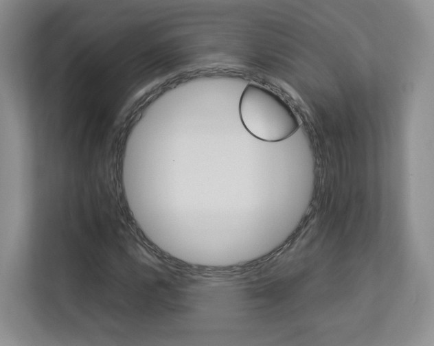 X0000112831112200908210933
