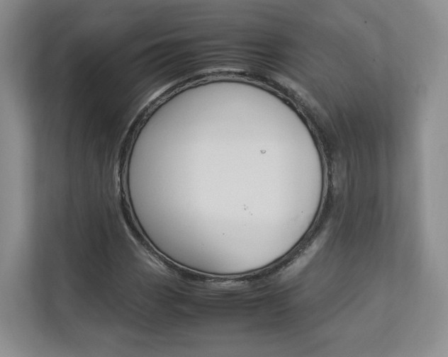 X0000112831113200908210933