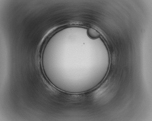X0000112831115200908210933
