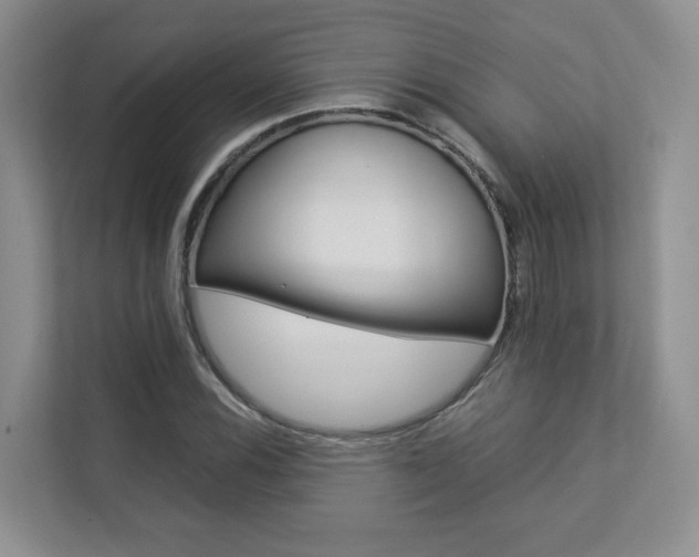 X0000112831116200908210933