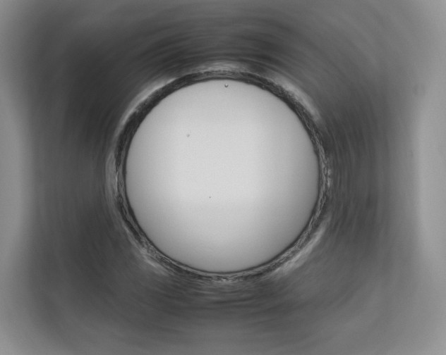 X0000112831117200908210933
