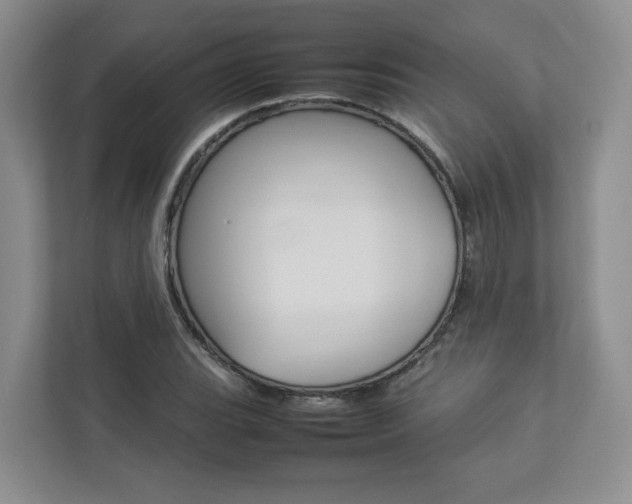 X0000112831119200908210933