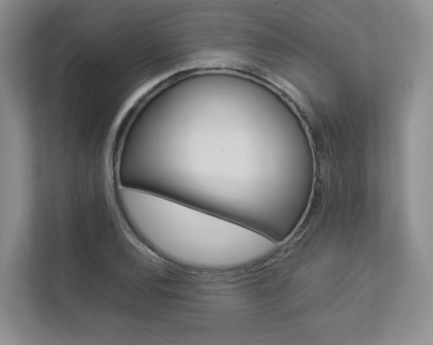 X0000112831120200908210933
