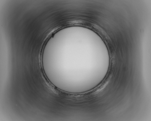 X0000112831121200908210933
