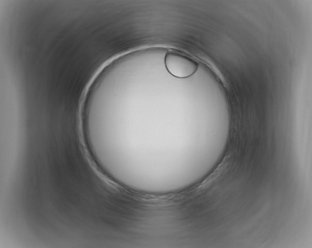 X0000112831124200908210933