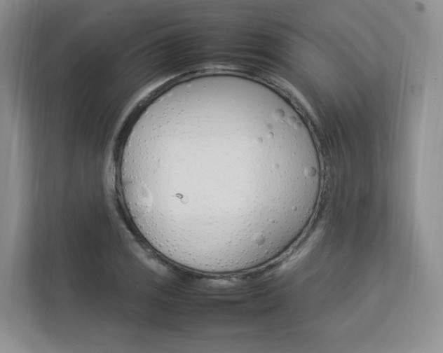 X0000112831125200908210933