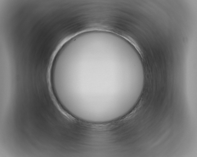 X0000112831128200908210933