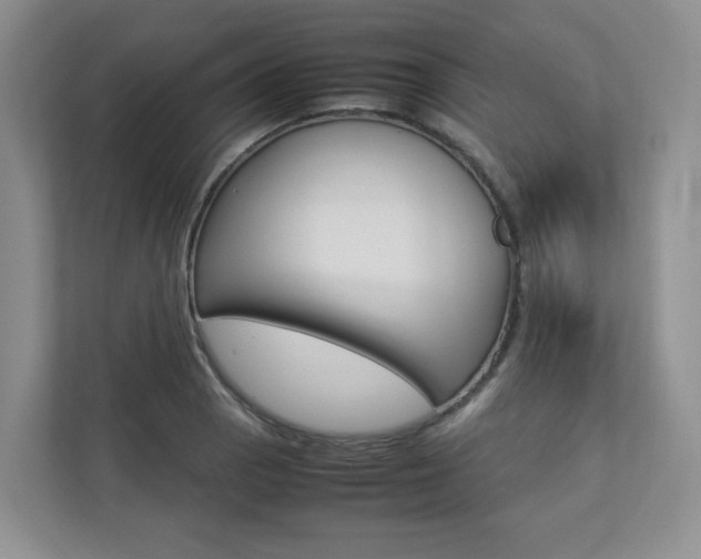 X0000112831129200908210933