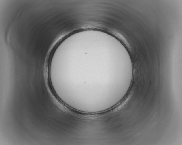 X0000112831130200908210933
