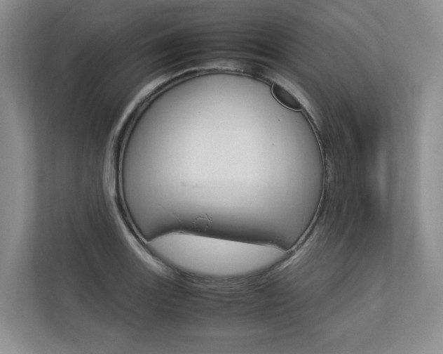 X0000112831131200908210933