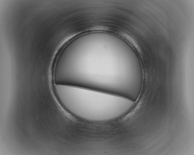 X0000112831133200908210933